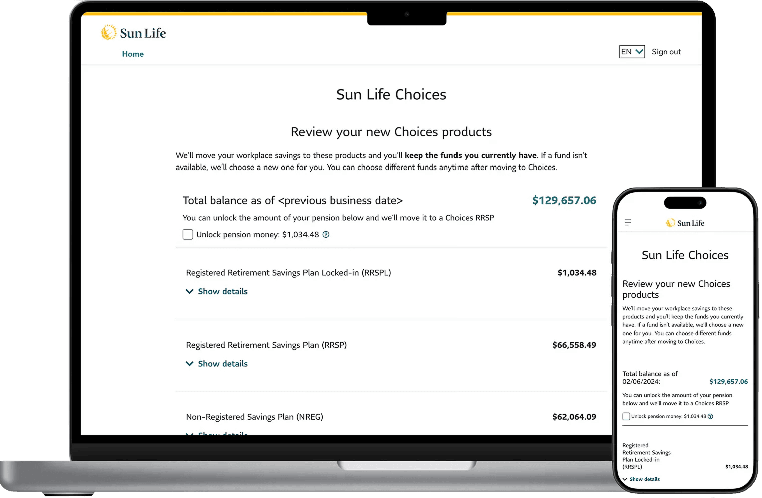 True Pension Balance project screens